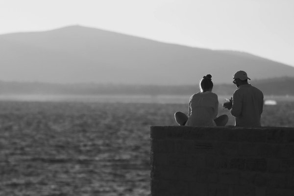 Quels sont les meilleurs spots pour faire de la plongée avec les requins à Gansbaai, Afrique du Sud?