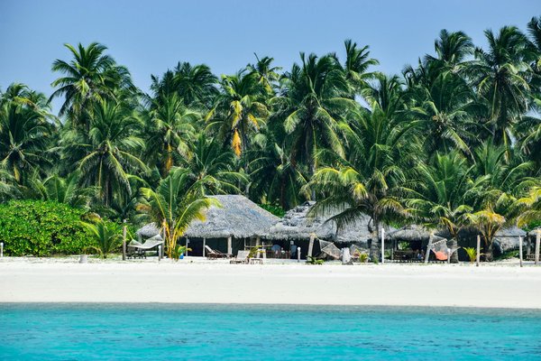 Quels sont les meilleurs spots pour observer les lémuriens dans le parc national de Ranomafana, Madagascar : périodes et conseils pratiques ?